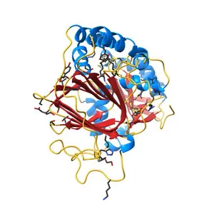 Crystal structure of Sphingosine Kinase 1