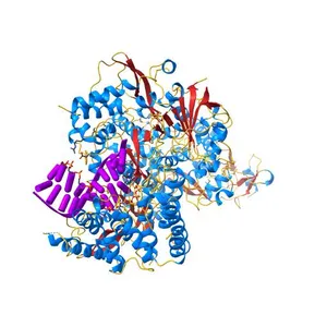 Nsp7-Nsp8-Nsp12 SARS-CoV2 RNA-dependent RNA polymerase in complex with template:primer dsRNA and favipiravir-RTP