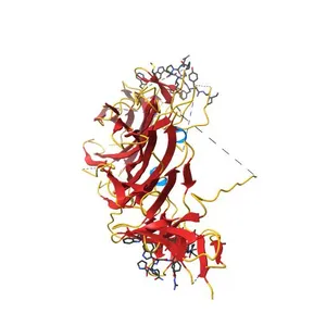 Complex structure of the bovine PERK luminal domain and its substrate peptide