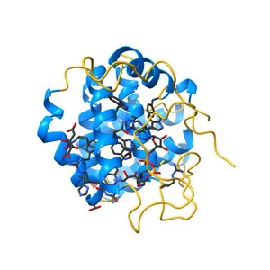Sulfhydryl Oxidase Fragment of Human QSOX1
