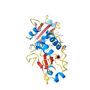 Oxidoreductase Fragment of Human QSOX1