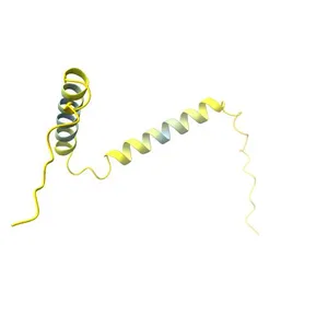 Small VCP/p97-interacting protein