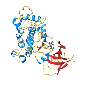 Glycogen Synthase Kinase 3 beta Complexed with BRD3731