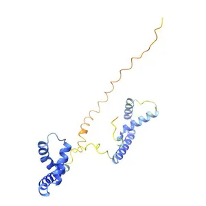 High mobility group protein B1