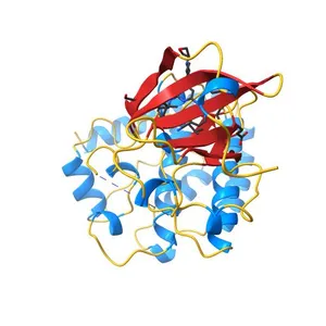 DLK in complex with inhibitor 2-((6-(3,3-difluoropyrrolidin-1-yl)-4-(1-(oxetan-3-yl)piperidin-4-yl)pyridin-2-yl)amino)isonicotinonitrile