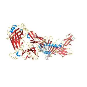 Crystal Structure of CD1d-lipid complexed with Beta-2-Microglobulin, TCR Alpha-Chain and TCR Beta-Chain