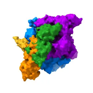 CryoEM structure of crosslinked E.coli RNA polymerase elongation complex