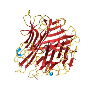 1.4 A RESOLUTION STRUCTURE OF MOUSE TUMOR NECROSIS FACTOR, TOWARDS MODULATION OF ITS SELECTIVITY AND TRIMERISATION