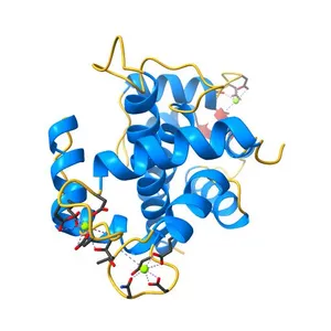 Crystal Structure of the Mg2+/CaM:Kv7.5 (KCNQ5) AB domain complex