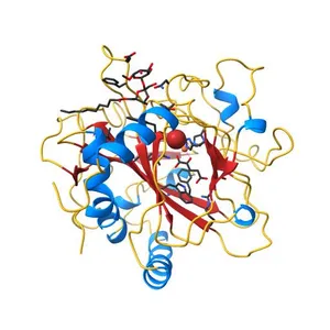 SyrB2 with Fe(II), bromide, and alpha-ketoglutarate