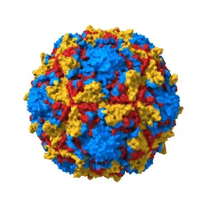 Poliovirus type 3 (strain Saukett) stabilised virus-like particle (PV3 SC8).