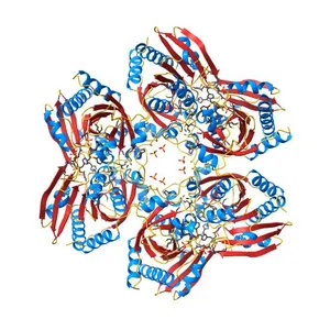 Plasmodium falciparum purine nucleoside phosphorylase in complex with quinine