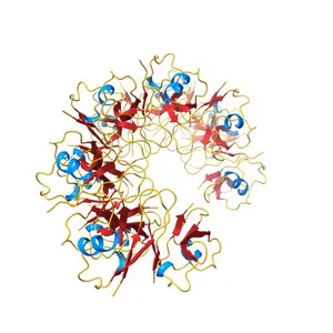 Cryo-EM structure of the Dvl2 DIX filament