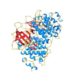 GLYCOGEN SYNTHASE KINASE 3 BETA COMPLEXED WITH AXIN PEPTIDE