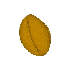 Mugwort (Artemisia vulgaris) pollen grain