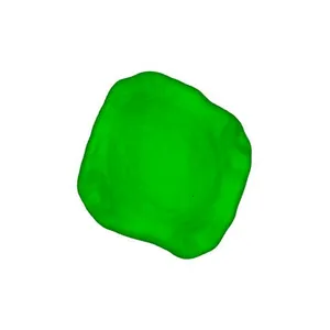 Alder (Alnus sp.) pollen grain: tetraporate