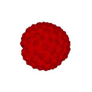 Ragweed (Ambrosia sp.) pollen grain