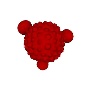 Ragweed (Ambrosia sp.) pollen grain showing pore distensions