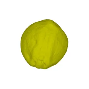 Common whitebeam (Sorbus aria) pollen grain