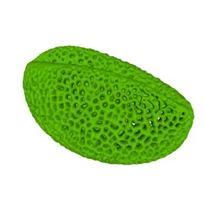 Black bryony (Dioscorea communis) pollen grain