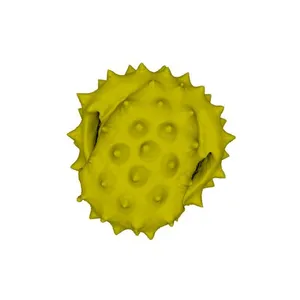 Common ragwort (Jacobaea vulgaris) pollen grain