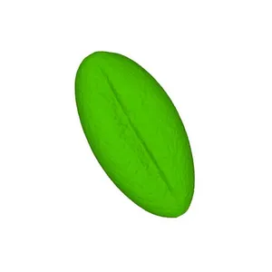 Apple (Malus domestica) pollen grain