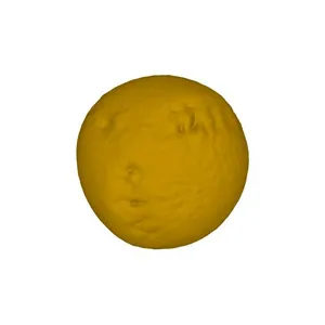 Poppy (Papaver sp.) pollen grain