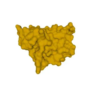 Birch Pollen Food Syndrome