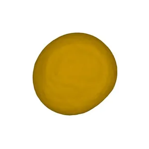 Reed canary grass (Phalaris arundinacea) pollen grain