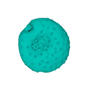 Round-headed Rampion (Phyteuma tenerum) pollen grain