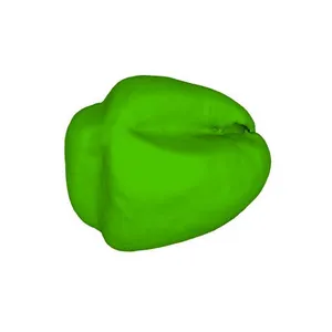 European pear (Pyrus communis) pollen grain