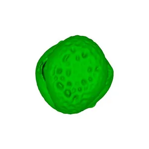 Willow (Salix alba) pollen grain
