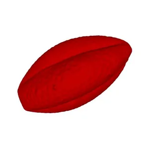 Black elderberry (Sambucus nigra) pollen grain
