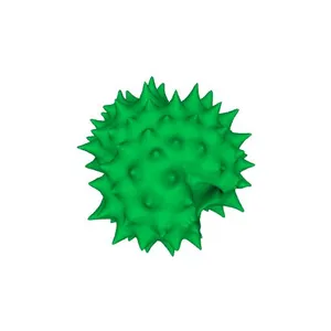 European goldenrod (Solidago virgaurea) pollen grain