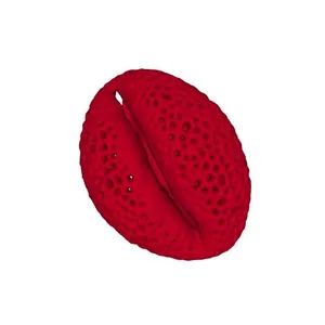 Common tamarisk (Tamarix anglica) pollen grain