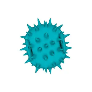Coltsfoot (Tussilago farfara) pollen grain