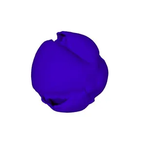 Common dog-violet (Viola riviniana) pollen grain: tetracolporate configuration