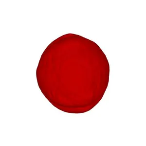 Common vine grape (Vitis vinifera) pollen grain
