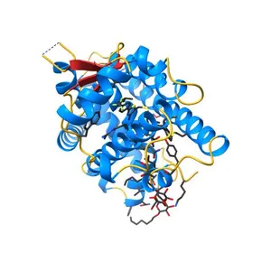 Human PPARdelta ligand-binding domain in complexed with GW501516