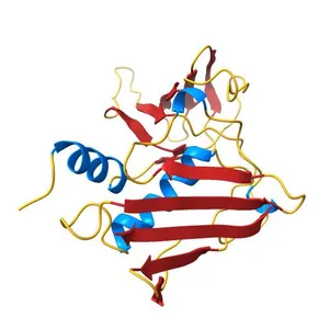 TOXIC SHOCK SYNDROME TOXIN-1 AT 2.07 A RESOLUTION
