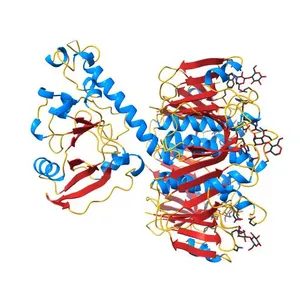 HEAT-LABILE ENTEROTOXIN MUTANT S63K