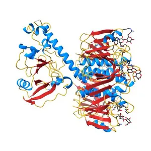 HEAT-LABILE ENTEROTOXIN DOUBLE MUTANT N40C/G166C
