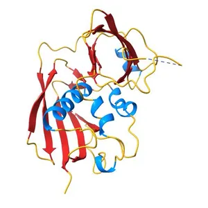 Structural basis for the altered T-cell receptor binding specificty in a superantigenic staphylococcus aureus Enterotoxin-B mutant