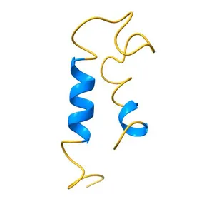 THE STRUCTURE OF ESCHERICHIA COLI HEAT-STABLE ENTEROTOXIN B BY NUCLEAR MAGNETIC RESONANCE AND CIRCULAR DICHROISM