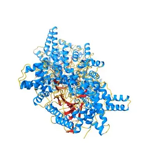 Crystal structure of glycyl radical enzyme ECL_02896 from Enterobacter cloacae subsp. cloacae