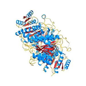 Crystal structure of acetoin dehydrogenase from Enterobacter cloacae