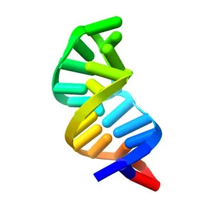 HIV-1 RNA A-RICH HAIRPIN LOOP