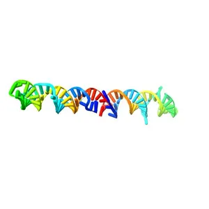Structure of full-length HIV TAR RNA