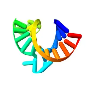 The FARFAR-NMR Ensemble of 29-mer HIV-1 Trans-activation Response Element RNA (N=20)