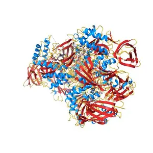 Beta-glucuronidase from Faecalibacterium prausnitzii bound to the inhibitor UNC10201652-glucuronide